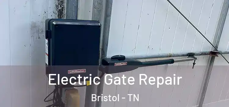 Electric Gate Repair Bristol - TN