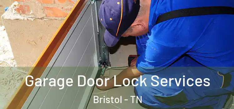 Garage Door Lock Services Bristol - TN