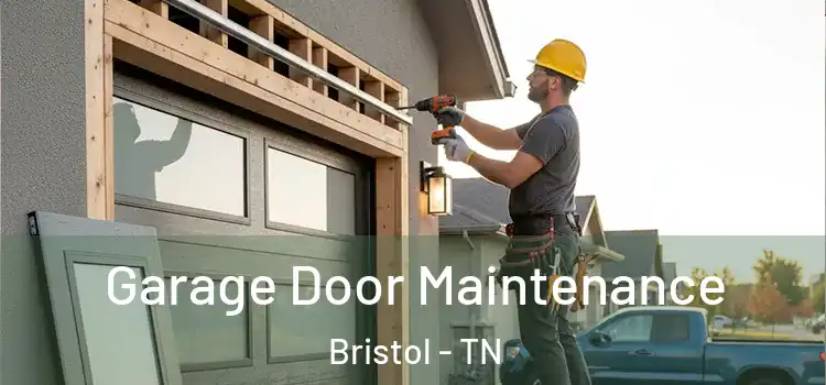 Garage Door Maintenance Bristol - TN