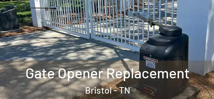 Gate Opener Replacement Bristol - TN