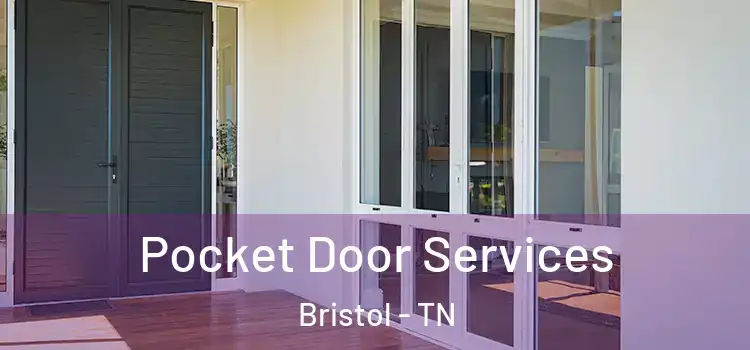  Pocket Door Services Bristol - TN